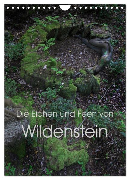 Die Eichen und Feen von Wildenstein (Wandkalender 2026 DIN A4 hoch) CALVENDO Monatskalender