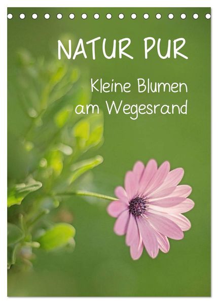 NATUR PUR Kleine Blumen am Wegesrand (Tischkalender 2026 DIN A5 hoch) CALVENDO Monatskalender