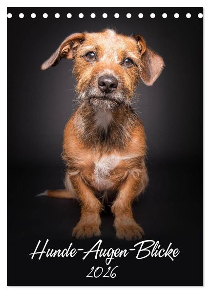 Hunde-Augen-Blicke (Tischkalender 2026 DIN A5 hoch) CALVENDO Monatskalender