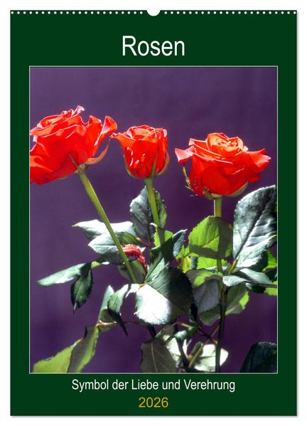 Rosen - Symbol der Liebe und Verehrung (Wandkalender 2026 DIN A2 hoch) CALVENDO Monatskalender