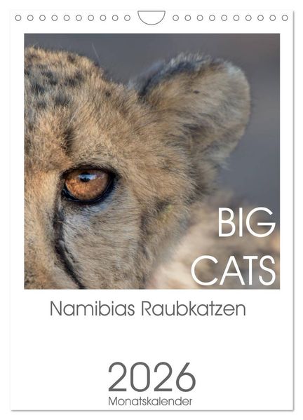 BIG CATS - Namibias Raubkatzen (Wandkalender 2026 DIN A4 hoch) CALVENDO Monatskalender