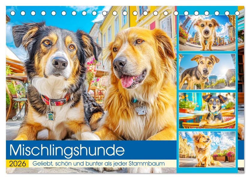 Mischlingshunde. Geliebt schön und bunter als jeder Stammbaum (Tischkalender 2026 DIN A5 quer) CALVENDO Monatskalender