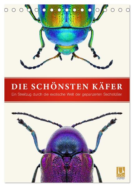 Die schönsten Käfer (Tischkalender 2026 DIN A5 hoch) CALVENDO Monatskalender