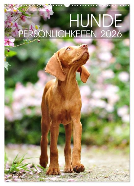 Hundepersönlichkeiten (Wandkalender 2026 DIN A2 hoch) CALVENDO Monatskalender