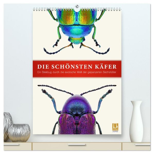Die schönsten Käfer (hochwertiger Premium Wandkalender 2026 DIN A2 hoch) Kunstdruck in Hochglanz