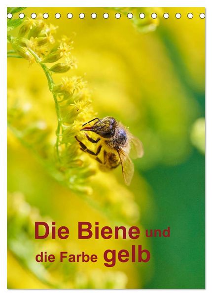 Die Biene und die Farbe gelb (Tischkalender 2026 DIN A5 hoch) CALVENDO Monatskalender