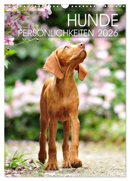 Hundepersönlichkeiten (Wandkalender 2026 DIN A3 hoch) CALVENDO Monatskalender
