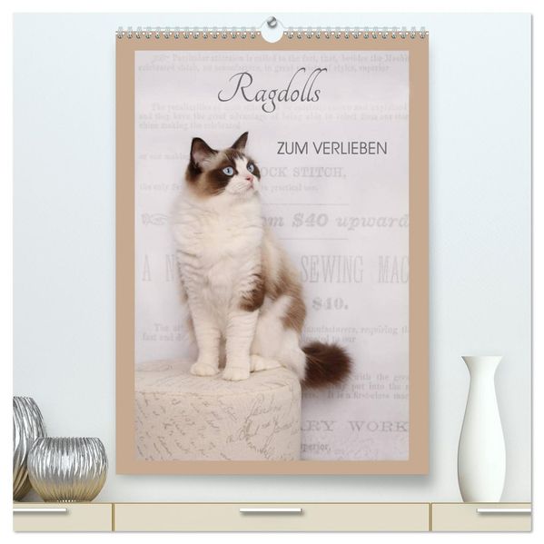 Ragdolls zum Verlieben (hochwertiger Premium Wandkalender 2026 DIN A2 hoch) Kunstdruck in Hochglanz