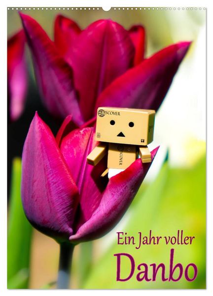 Ein Jahr voller Danbo (Wandkalender 2026 DIN A2 hoch) CALVENDO Monatskalender