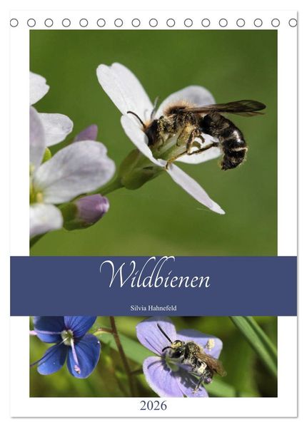 Wildbienen-Terminplaner 2026 (Tischkalender 2026 DIN A5 hoch) CALVENDO Monatskalender
