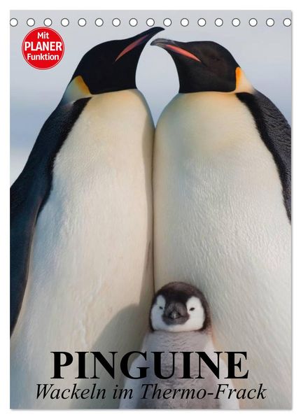 Pinguine. Wackeln im Thermo-Frack (Tischkalender 2026 DIN A5 hoch) CALVENDO Monatskalender