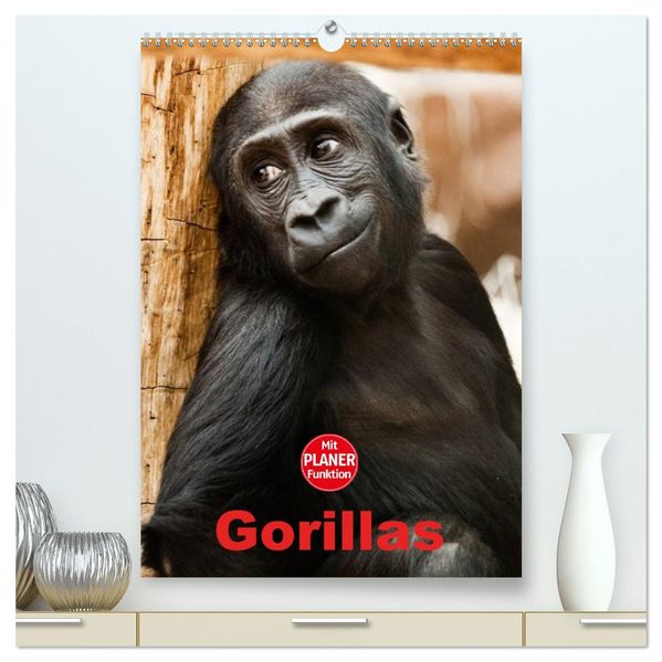 Gorillas (hochwertiger Premium Wandkalender 2026 DIN A2 hoch) Kunstdruck in Hochglanz