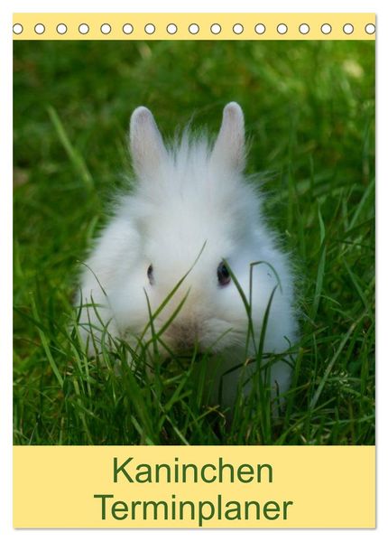 Kaninchen Terminplaner (Tischkalender 2026 DIN A5 hoch) CALVENDO Monatskalender