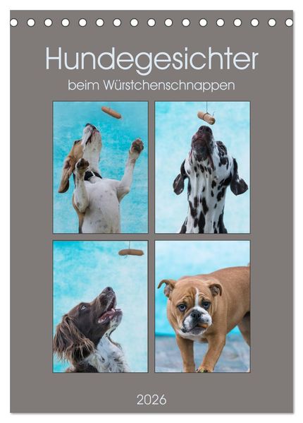 Hundegesichter beim Würstchenschnappen (Tischkalender 2026 DIN A5 hoch) CALVENDO Monatskalender