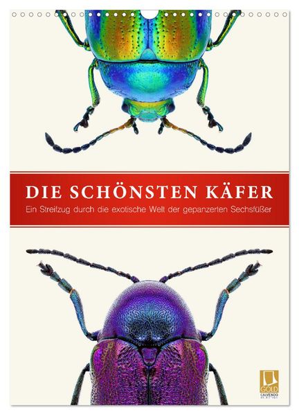 Die schönsten Käfer (Wandkalender 2026 DIN A3 hoch) CALVENDO Monatskalender
