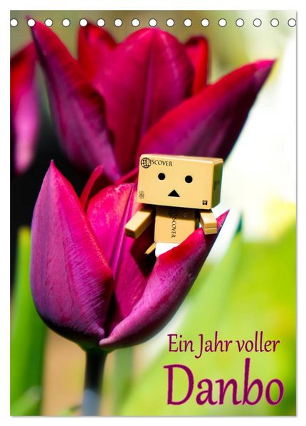Ein Jahr voller Danbo (Tischkalender 2026 DIN A5 hoch) CALVENDO Monatskalender