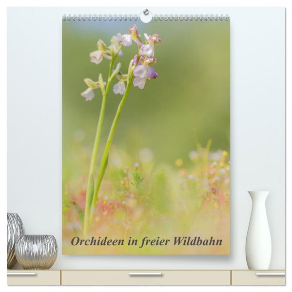 Orchideen in freier Wildbahn (hochwertiger Premium Wandkalender 2026 DIN A2 hoch) Kunstdruck in Hochglanz