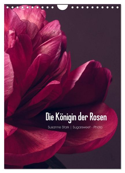 Die Königin der Rosen (Wandkalender 2026 DIN A4 hoch) CALVENDO Monatskalender