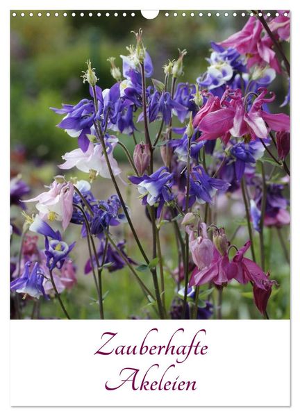 Zauberhafte Akeleien (Wandkalender 2026 DIN A3 hoch) CALVENDO Monatskalender