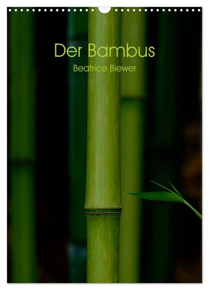 Der Bambus (Wandkalender 2026 DIN A3 hoch) CALVENDO Monatskalender