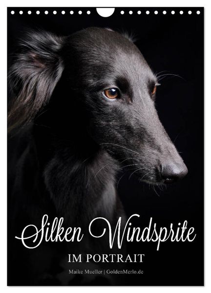 Silken Windsprite im Portrait (Wandkalender 2026 DIN A4 hoch) CALVENDO Monatskalender