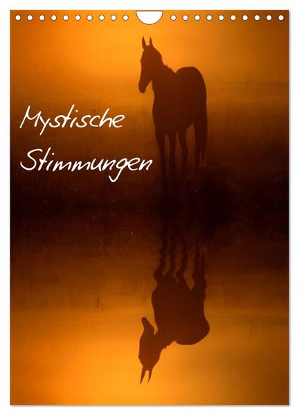 Mystische Stimmungen (Wandkalender 2026 DIN A4 hoch) CALVENDO Monatskalender