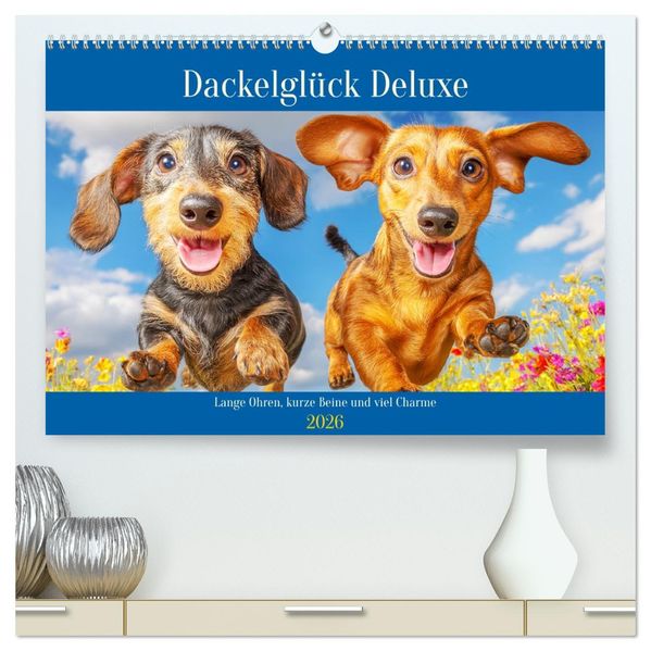 Dackelglück Deluxe. Lange Ohren kurze Beine und viel Charme (hochwertiger Premium Wandkalender 2026 DIN A2 quer) Kunstdruck in Hochglanz