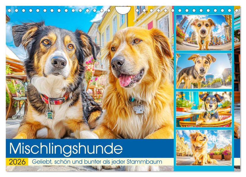 Mischlingshunde. Geliebt schön und bunter als jeder Stammbaum (Wandkalender 2026 DIN A4 quer) CALVENDO Monatskalender