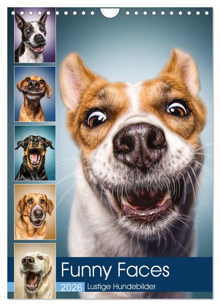 Funny Faces - Lustige Hundebilder (Wandkalender 2026 DIN A4 hoch) CALVENDO Monatskalender
