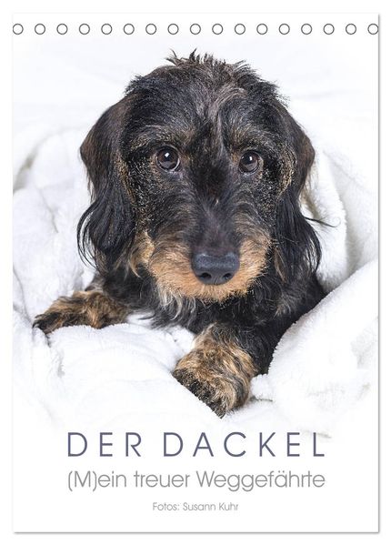 Der Dackel (M)ein treuer Weggefährte (Tischkalender 2026 DIN A5 hoch) CALVENDO Monatskalender