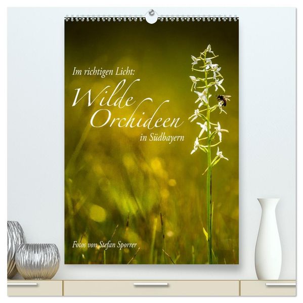Im richtigen Licht: Wilde Orchideen in Südbayern (hochwertiger Premium Wandkalender 2026 DIN A2 hoch) Kunstdruck in Hochglanz