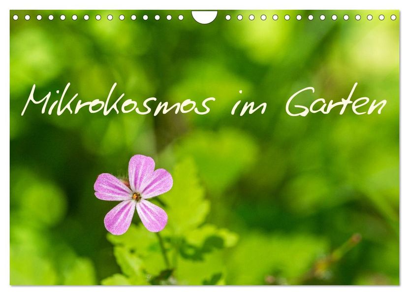 Mikrokosmos im Garten (Wandkalender 2026 DIN A4 quer) CALVENDO Monatskalender