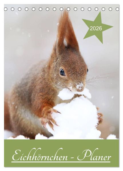 Eichhörnchen - Planer (Tischkalender 2026 DIN A5 hoch) CALVENDO Monatskalender