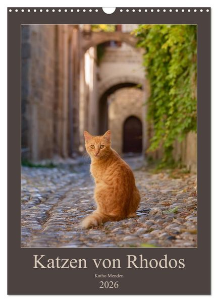 Katzen von Rhodos (Wandkalender 2026 DIN A3 hoch) CALVENDO Monatskalender