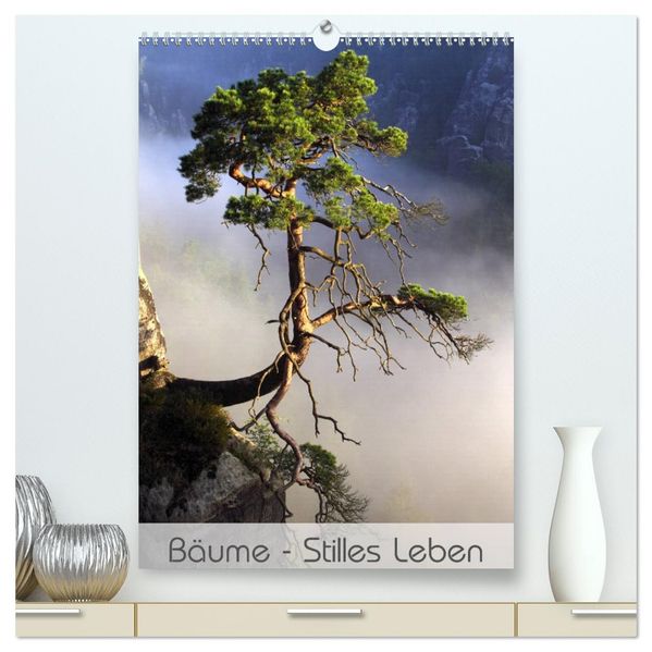 Bäume - Stilles Leben (hochwertiger Premium Wandkalender 2026 DIN A2 hoch) Kunstdruck in Hochglanz