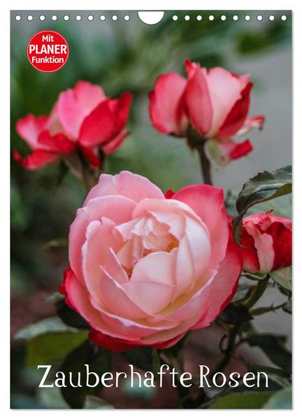 Zauberhafte Rosen (Wandkalender 2026 DIN A4 hoch) CALVENDO Monatskalender