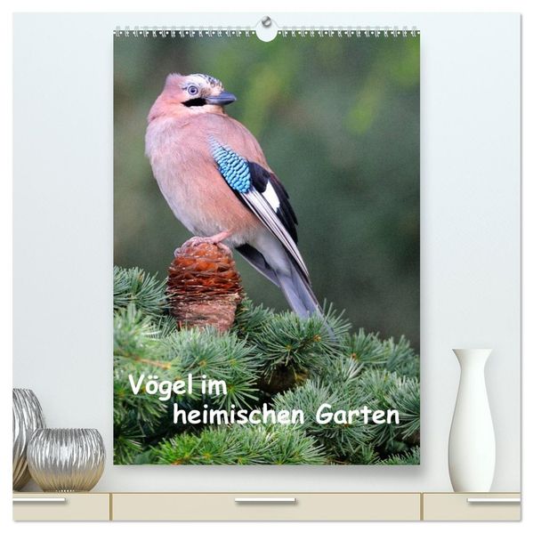 Vögel im heimischen Garten (hochwertiger Premium Wandkalender 2026 DIN A2 hoch) Kunstdruck in Hochglanz