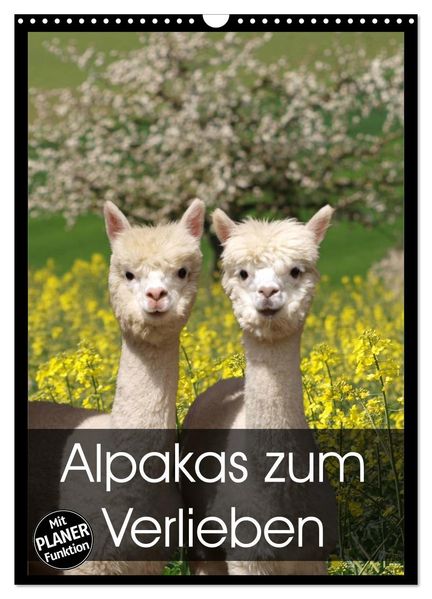 Alpakas zum Verlieben (Wandkalender 2026 DIN A3 hoch) CALVENDO Monatskalender