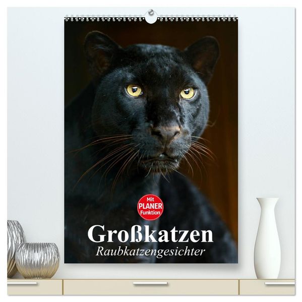 Großkatzen. Raubkatzengesichter (hochwertiger Premium Wandkalender 2026 DIN A2 hoch) Kunstdruck in Hochglanz