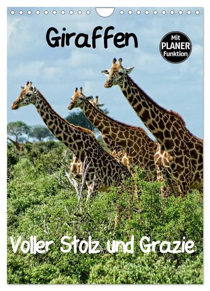 Giraffen. Voller Stolz und Grazie (Wandkalender 2026 DIN A4 hoch) CALVENDO Monatskalender