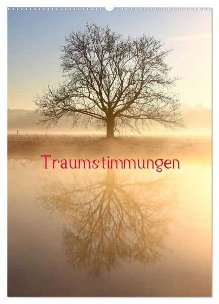 Traumstimmungen (Wandkalender 2026 DIN A2 hoch) CALVENDO Monatskalender