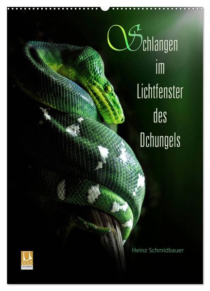 Schlangen im Lichtfenster des Dschungels (Wandkalender 2026 DIN A2 hoch) CALVENDO Monatskalender