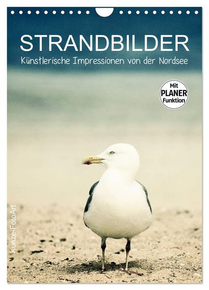 Strandbilder - Künstlerische Impressionen von der Nordsee (Wandkalender 2026 DIN A4 hoch) CALVENDO Monatskalender