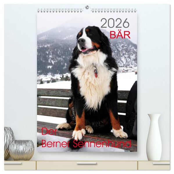 BÄR - Der Berner Sennenhund (hochwertiger Premium Wandkalender 2026 DIN A2 hoch) Kunstdruck in Hochglanz