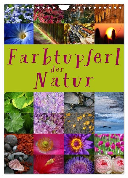 Farbtupferl der Natur (Wandkalender 2026 DIN A4 hoch) CALVENDO Monatskalender