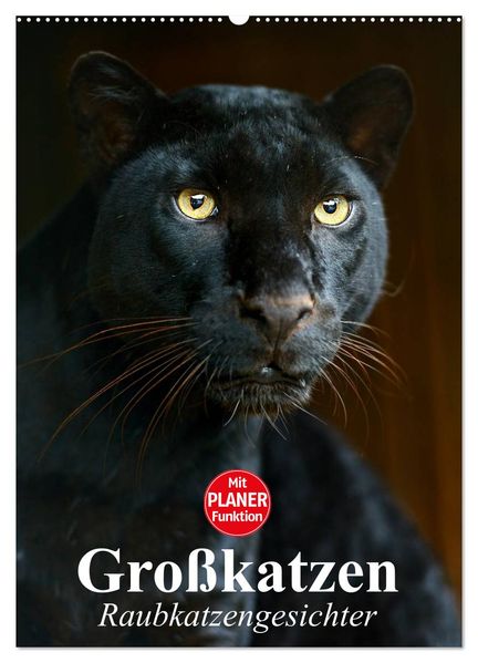 Großkatzen. Raubkatzengesichter (Wandkalender 2026 DIN A2 hoch) CALVENDO Monatskalender