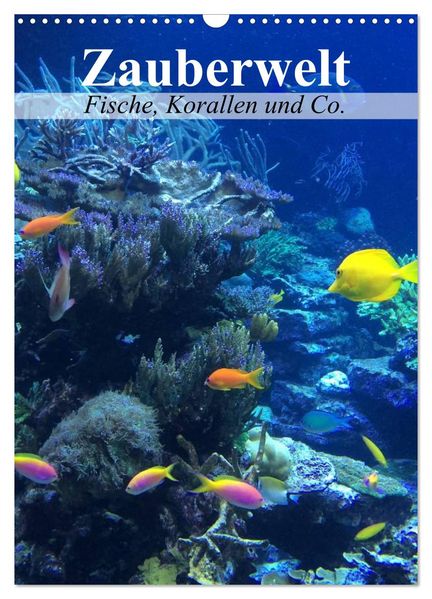 Zauberwelt. Fische Korallen und Co. (Wandkalender 2026 DIN A3 hoch) CALVENDO Monatskalender