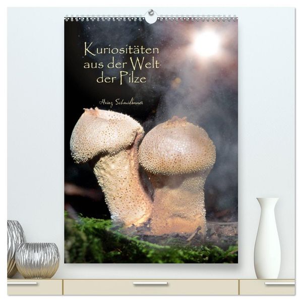 Kuriositäten aus der Welt der Pilze (hochwertiger Premium Wandkalender 2026 DIN A2 hoch) Kunstdruck in Hochglanz