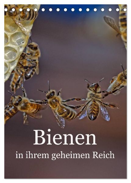 Bienen in ihrem geheimen Reich (Tischkalender 2026 DIN A5 hoch) CALVENDO Monatskalender