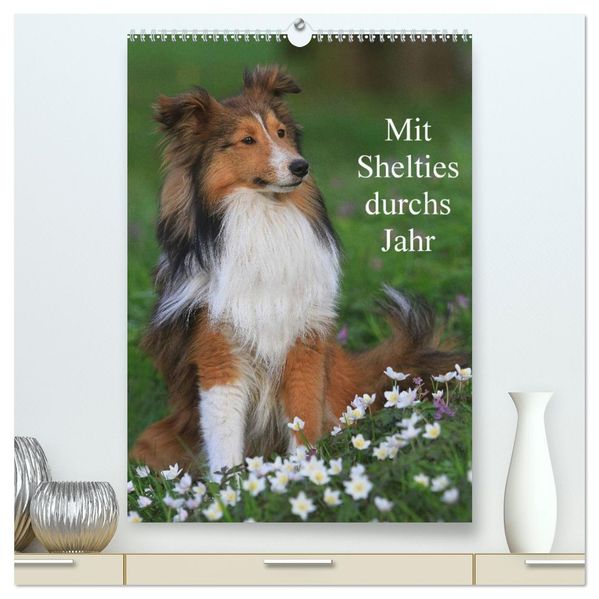 Mit Shelties durchs Jahr (hochwertiger Premium Wandkalender 2026 DIN A2 hoch) Kunstdruck in Hochglanz